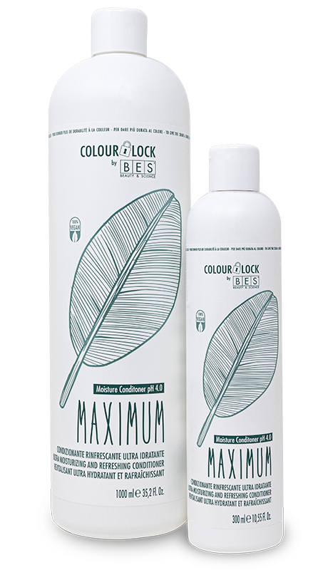 BES Colour Lock - Maximum Moisture Conditioner